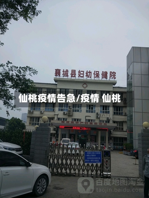 仙桃疫情告急/疫情 仙桃