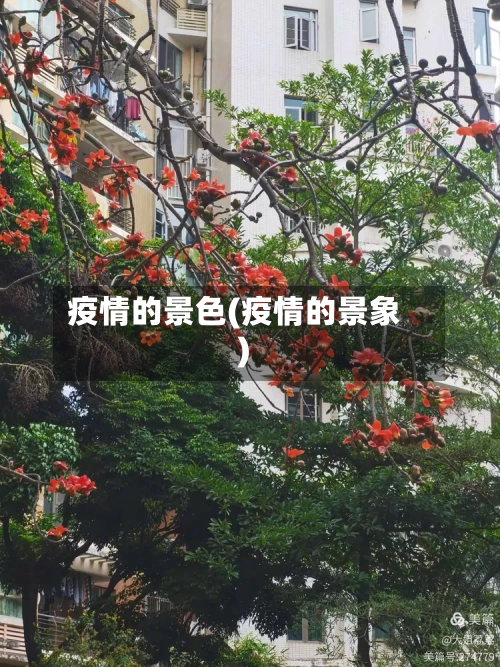 疫情的景色(疫情的景象)-第3张图片